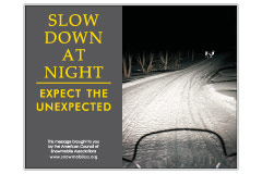 Horizontal Poster of Snowmobilers and text ‘Slow Down at Night. Expect the Unexpected'