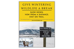 Vertical Poster of snowy mountain and text ‘Give Wintering Wildlife a Break. Slow Down. View from a Distance. Slow Down.