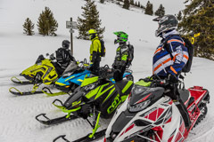Group of snowmobilers riding along wooded trail